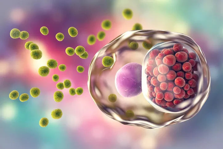 Bridging the Health Gap: Encouraging Early Testing and Preventive Care for All Malaysians